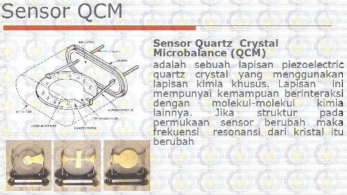 QCM2