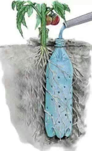 berkebun.14