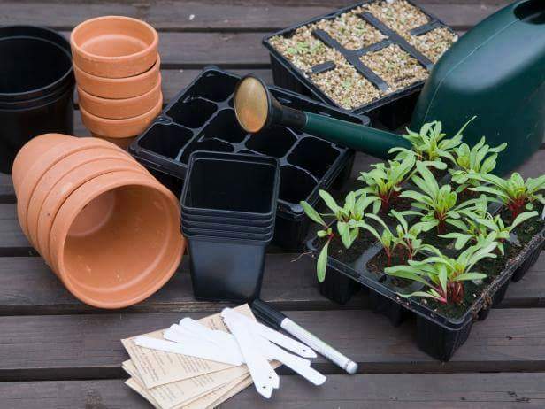 berkebun.16