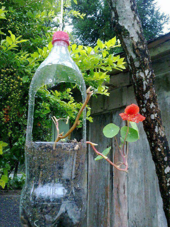 botol.bekas.4