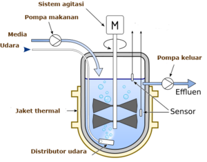 Bioreactor 1
