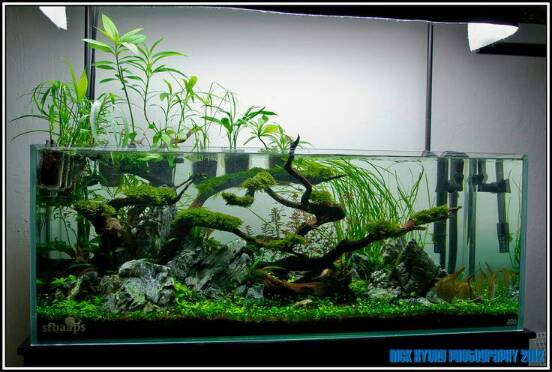 Aquascape 01