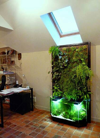 Aquascape 02