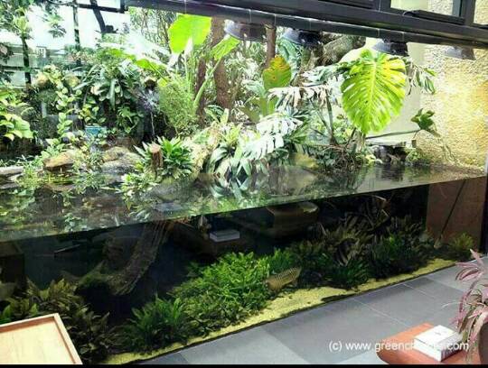 Aquascape 05