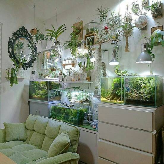Aquascape 08
