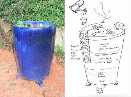 Composter dalam pot 3