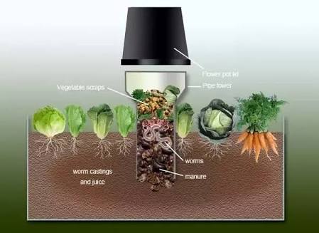 Composter dalam pot 2