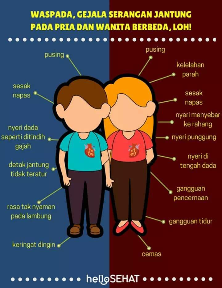 jantung